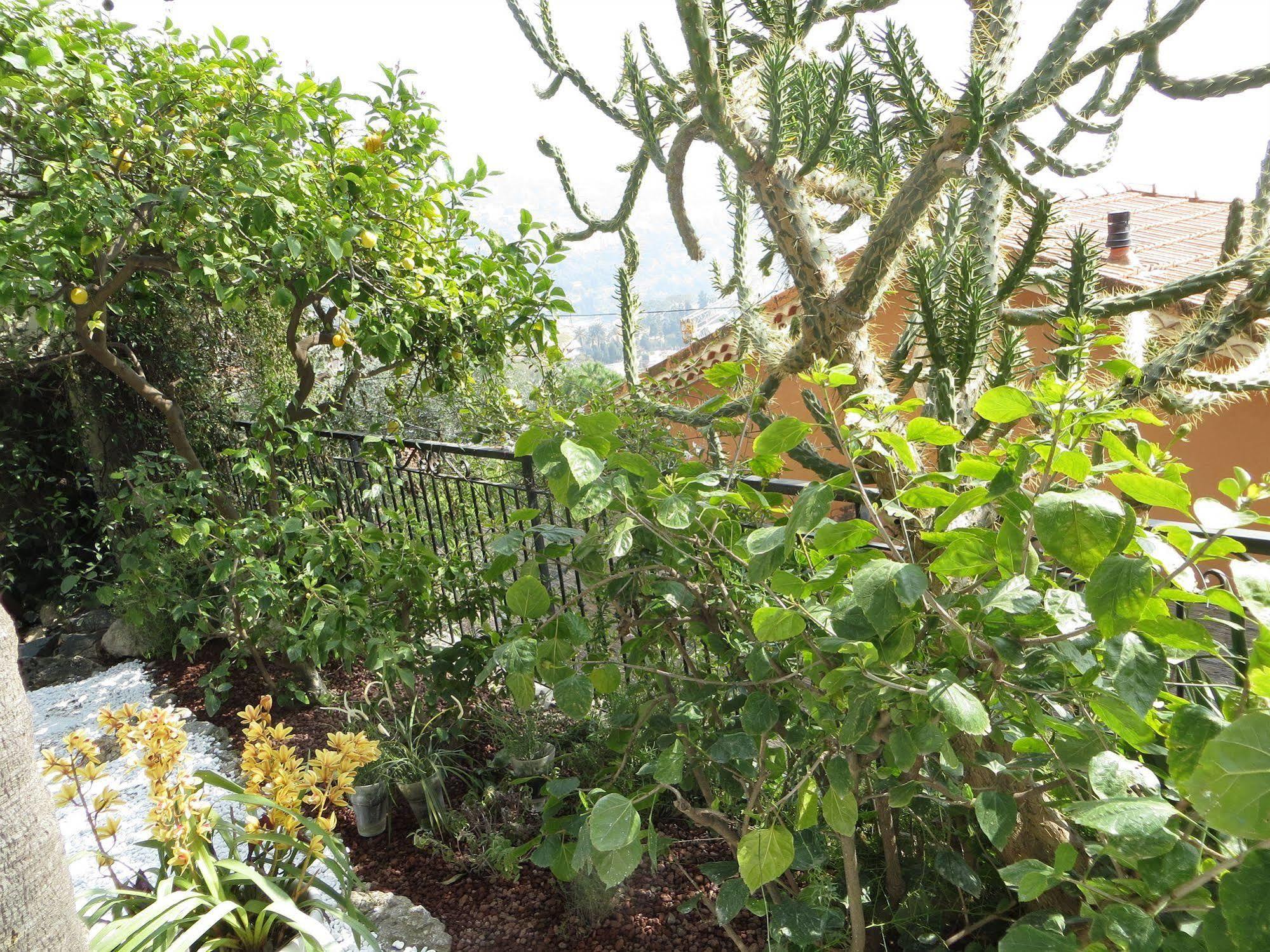 Hotel De Charme Regency Roquebrune-Cap-Martin Ngoại thất bức ảnh